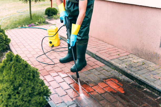 Animal Enclosure Cleaning in Albany, CA