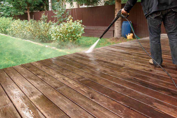 Best Paint Preparation  in Albany, CA