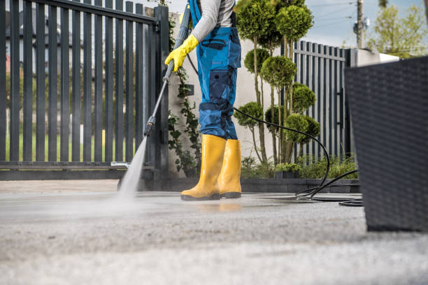 Reliable Albany, CA Pressure Washing Services Solutions